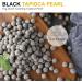 Black Tapioca Pearl Boba for Bubble Tea Drink Boba Milk Tea Catering Pack 1KG (Pack of 6) HALAL - Buy Online on SooperMarket.com