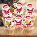 PRECUT Christmas Santa Cupcake Toppers Edible Santa Cake Decorations Christmas Decorations Santa Cake Topper (12) - Buy Online on SooperMarket.com
