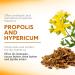 Apivita Lipcare Propolis 4.4 g - Buy Online on SooperMarket.com