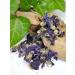 Dried Organic Malven Flowers in Alarm Glass | Eco-Friendly Small Flower Tea Gift | Reusable & Plastic-Free Packaging - Buy Online on SooperMarket.com
