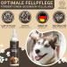 Pfotengut Dog Fur Care Spray 250ml | Vet-Developed Nourishing & Detangling Spray with Jojoba Oil & Chamomile | Silky Glossy Fur for All Dogs - Buy Online on SooperMarket.com