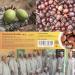 Abis-Pharma Organic Shea Butter 100g - Pure Unrefined Vegan & Fair Trade from Burkina Faso - Buy Online on SooperMarket.com