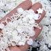 BELICEY Creamy-White Pearls Heart Nail Art Charms - 500pcs Mixed Flatback Pearls for Cute 3D Nails Design & DIY Jewelry - S2-White - Buy Online on SooperMarket.com