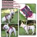 Multi-Purpose Dog Harness with Leash Set - Outbreak-Proof Safety Dishes for Small & Medium Dogs (Black L) - Durable Anti-Train Dog Harness - Buy Online on SooperMarket.com
