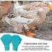 higyee Wildlife Protection Shoes - Anti-slip Protection Shoes for Wildlife | Shoes for Goose and Large Ducks Birds Hens Duck Accessories - Buy Online on SooperMarket.com