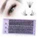 DIY eyelash extensions 120 PCs Individual eyelashes DIY Individual false eyelashes for beginners reusable eyelash bush single eyelashes eyelashes individually 10-16mm c/cc/d curl-30d 120 PCS-30D