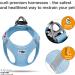 Buy XL Sky Blue Air-Mesh Vest Harness without D-Ring Buckle - Perfect for Pet Comfort & Style - Buy Online on SooperMarket.com