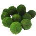 kaveno Green Moss Decorative Ball Natural (2.4"-Set of 12 Green)