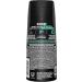 AXE Deodorant Body Spray Apollo 113 g - Buy Online on SooperMarket.com