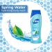Dial Spring Water Body Wash 21 fl oz - Pack of 4, Unscented - Buy Online on SooperMarket.com