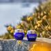 L'OCCITANE Immortelle Precious Overnight Mask 50ml | Blue Light Protection Mask for All Skin Types - Buy Online on SooperMarket.com