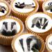24 edible Badgers Badger British Wildlife kids childrens party decorations Iced/Icing Cupcake Topper Edible Fairy Cake Bun Toppers Round