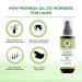 Organic Veda Moringa Oil 3.4 fl. oz - USDA Organic Cold-Pressed Edible Grade Virgin Oil for Face, Skin, Hair, Nails, Foot & Body - Buy Online on SooperMarket.com