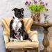 Max & Molly H-Harness - Exotique | Comfortable & Stylish Pet Harness for International Shipping - Buy Online on SooperMarket.com