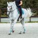 HORZE Horse Bridle Sion Premium English Noseband Bridle & Reins for Ponies Brown Size P | International Shipping Available - Buy Online on SooperMarket.com