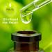 Buy Macadamia Professional Nourishing Moisture Oil Treatment - 30ml | International Shipping Available - Buy Online on SooperMarket.com