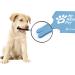Innogadget Blue Tick Card with Magnifying Glass | Easy Pet & Human Tick Removal | Pocket-Sized & Portable | Happy Blue Design - Buy Online on SooperMarket.com
