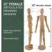 US Art Supply 12 Female Drawing Manikin with Flexible Body and Base - Ideal for Human Figure Sketching - Buy Online on SooperMarket.com