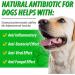 Dog Health Supplement Drops for Allergy Relief, Skin Itch, Kennel Cough, UTI & Ear Infection - Multivitamin Bacon Flavor - 2 Fl Oz - Buy Online on SooperMarket.com