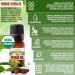 BodyJ4You 2PC Piercing Aftercare Set - Jojoba Oil Ear Balm for Gauges, Tapers, and Plugs - Buy Online on SooperMarket.com