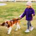 Short Dog Leash with Padded Handle | Reflective Nylon for All Dog Sizes | 32cm Training Leash - Buy Online on SooperMarket.com