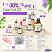 SAVILAND Cuticle Oil with Essential Oils - Nail Growth & Strength | Perfect for Skin Care Diffusers Massage & DIY Projects - Ideal Gift for Women - Buy Online on SooperMarket.com