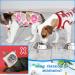 3 Pieces Cat Recovery Suit Kitten Recovery Suit E-Collar Alternative for Cats and Dogs Abdominal Skin Anti Licking Pajama Suit Multi Style Medium - Buy Online on SooperMarket.com