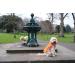 High Visibility Reflective Fleece Dog Coat - Leash Hole 5 Sizes | Safe Outdoor Wear for Day & Night - Yellow M - Buy Online on SooperMarket.com
