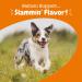 Zesty Paws Salmon Bites â€“ Skin & Coat Chews for Dogs | 90 Soft Chews, All Ages - Buy Online on SooperMarket.com