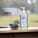 Dr. Talbot's Refreshing Gel Hand Sanitizer Pump, Fragrance Free, 8.5 fl oz - Pack of 1 - Buy Online on SooperMarket.com