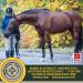 Emma Electrolyte Horse Liquid & Paste | Vitamin B12 Minerals & Sodium for Optimal Hydration | 1L & 30ml - Prevent Diarrhea & Support Performance - Buy Online on SooperMarket.com