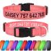 Tagme personalized dog collar for small dog with embroidered reflective nylon dog collar with PET name & telephone number BabyroSa XS XS (1 Pack) Babyrosa