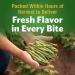 Del Monte Fresh Cut Blue Lake French Style Green Beans - No Salt Added (12 Pack, 14.5 oz Can) - Buy Online on SooperMarket.com