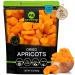 Sun Dried Turkish Apricots, No Sugar Added (16oz - 1 LB) Packed Fresh in Resealable Bag - Sweet Dehydrated Fruit, Snack Treat - Healthy Food, All Natural, Vegan, Kosher Certified Dried Apricot - 16 Ounce