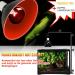Neptonion 100W Infrared Heat Lamp for Reptiles | UVA Basking Spot Lamp for Snakes Chameleons Geckos & More - Buy Online on SooperMarket.com
