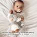 Nuby Penguin Baby Cry Sensor Sleep Aid | Calming Lullabies & White Noise | Soothe Baby to Sleep from Birth - Buy Online on SooperMarket.com