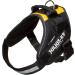 Shop IDC Powerharness Size M/0 - Belgian Colors | Premium International Shipping - Buy Online on SooperMarket.com