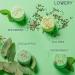 12 Shower Steamers for Women | Aromatherapy Shower Bombs for Self Care | Stress Relief and Relaxation Gift Set - Buy Online on SooperMarket.com