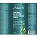 JASON NATURAL COSMETICS Tea Tree Oil Therapy Shampoo 540 ML - Best Natural Shampoo for Healthy Hair | International Shipping Available - Buy Online on SooperMarket.com