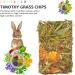 X-pet Natural Timothy Hay Chips Chew Treats for Dental Health | Small Animal Snacks for Rabbits, Hamsters, Guinea Pigs, Chinchillas - Buy Now! - Buy Online on SooperMarket.com