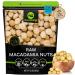 Raw Macadamia Nuts, Unsalted, Shelled, Superior to Organic (32oz - 2 LB) Bulk Nuts Packed Fresh in Resealable Bag - Healthy Protein Food Snack, All Natural, Keto Friendly, Vegan, Kosher - Prime 32 Ounce