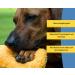 Canicoat Dog Towel Set with Glove - Oeko-Tex Certified Microfiber Fast Drying & Suction-Strong (M/L Yellow) | Buy Now - Buy Online on SooperMarket.com