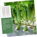 Milisten 10 Pcs Vegetable Shaping Fruit Cucumber Garden Vegetable Gourd Suite - Buy Online on SooperMarket.com