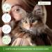 bogacare Perfect Eye Cleaner for Cats - Buy Online on SooperMarket.com
