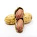 Premium USA Grown Raw Peanuts in Shell for Squirrels - 2.5lb | Unsalted & Jumbo | Boiled Virginia Peanuts | Pack of 1 - Buy Online on SooperMarket.com