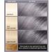 L'Or al Paris Colorista Permanent Gel Hair Dye - Smokey Grey | Long-Lasting Vibrant Color | High-Intensity Formula with Extra Shine - Buy Online on SooperMarket.com