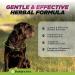 Natural Dewormer for Dogs | 100% Natural | Contains 3 Medicinal Herbs | Supports Intestinal & Gut Health | Gentle & Effective Formula - Buy Online on SooperMarket.com
