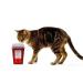 OakRidge Products 1 Quart Sharps & Biohazard Disposal Container - Buy Online on SooperMarket.com