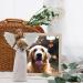 Dog Angel Figurine - Memorial Pet Loss Gift for Grieving Owners - Hand-Carved Guardian Angel Sculpture - Buy Online on SooperMarket.com
