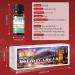 EUQEE Holiday Cheer Fragrance Oils Set - Forest Pine, Christmas Wreath, Brown Sugar, Harvest Spice, Gingerbread, Pumpkin Pie - 10ml Scented Oils for Diffuser and Candle Making - Buy Online on SooperMarket.com